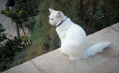 חסר מאפיין alt לתמונה הזו; שם הקובץ הוא juk.jpg